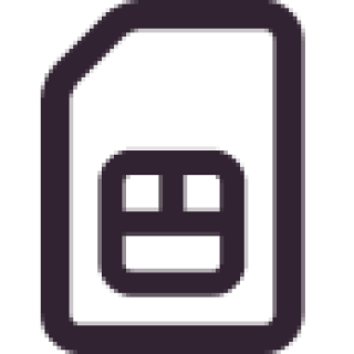 sim icon
