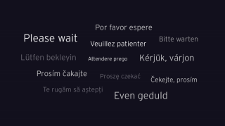 Please Wait screen 