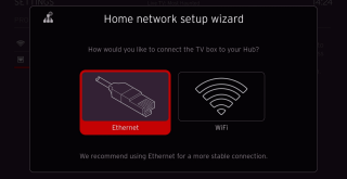 Screen showing 'Home network setup wizard'