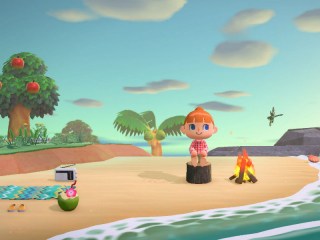 Animal Crossing: New Horizons Video Game