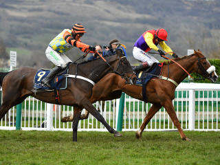 Cheltenham 2019