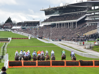 Horse Racing