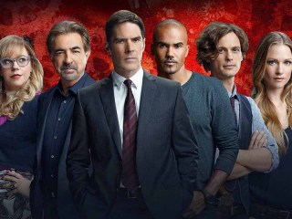 Criminal Minds Boxset