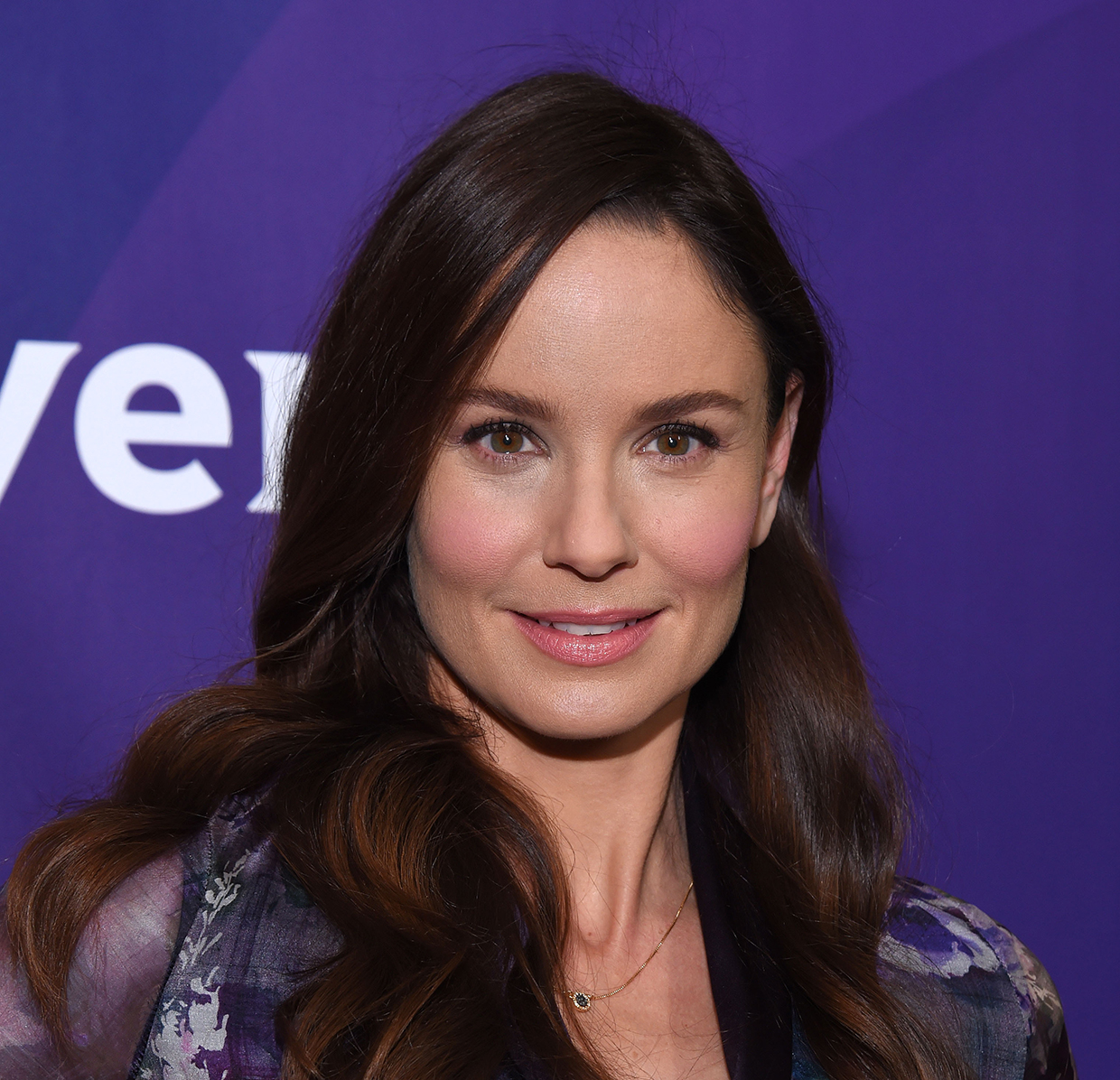Sarah Wayne Callies Walking Dead Virgin Media Ireland